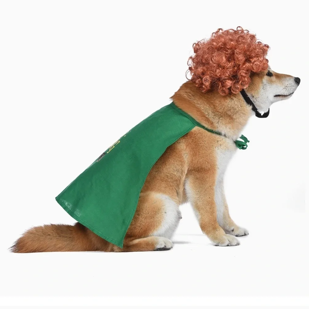 NWT Winifred Halloween Dog Costume